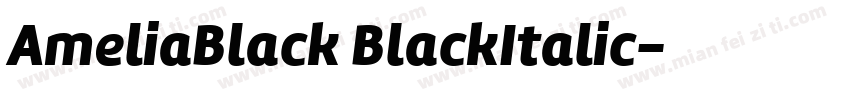 AmeliaBlack BlackItalic字体转换